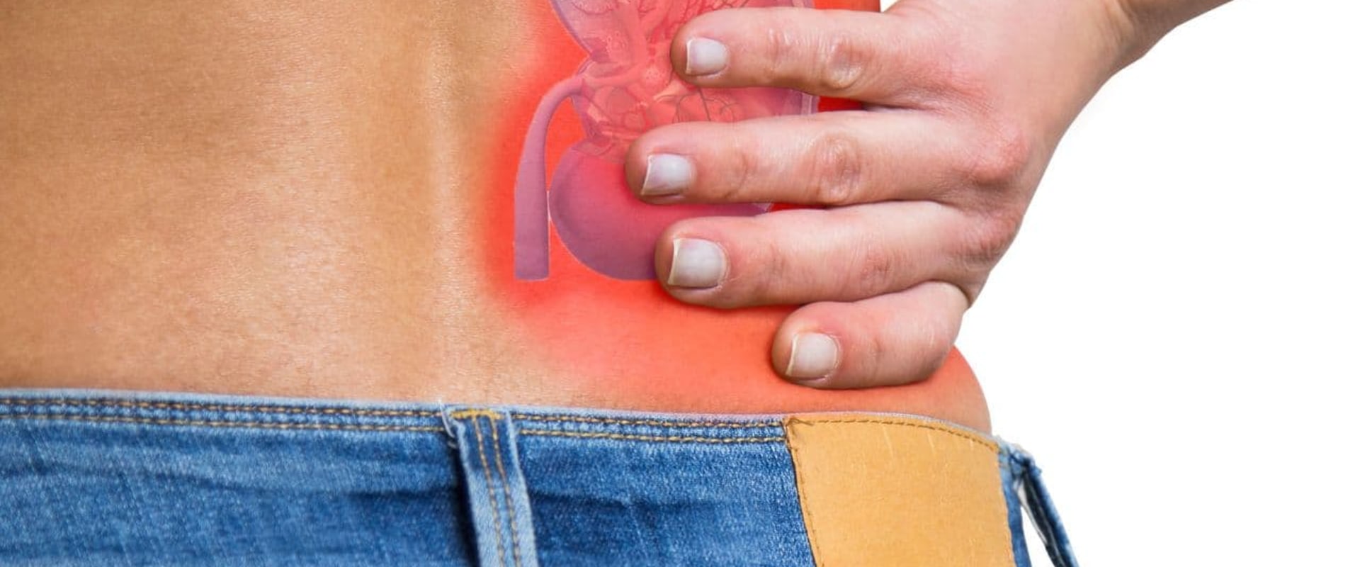 What Is the Biggest Indicator of Kidney Disease? Learn the Signs Before It’s Too Late